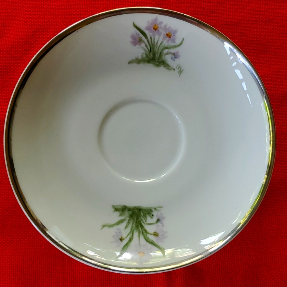 Monticello plate silver rim